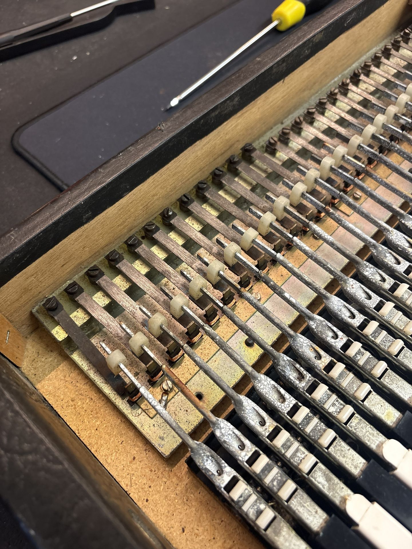Pianet T rusted reed