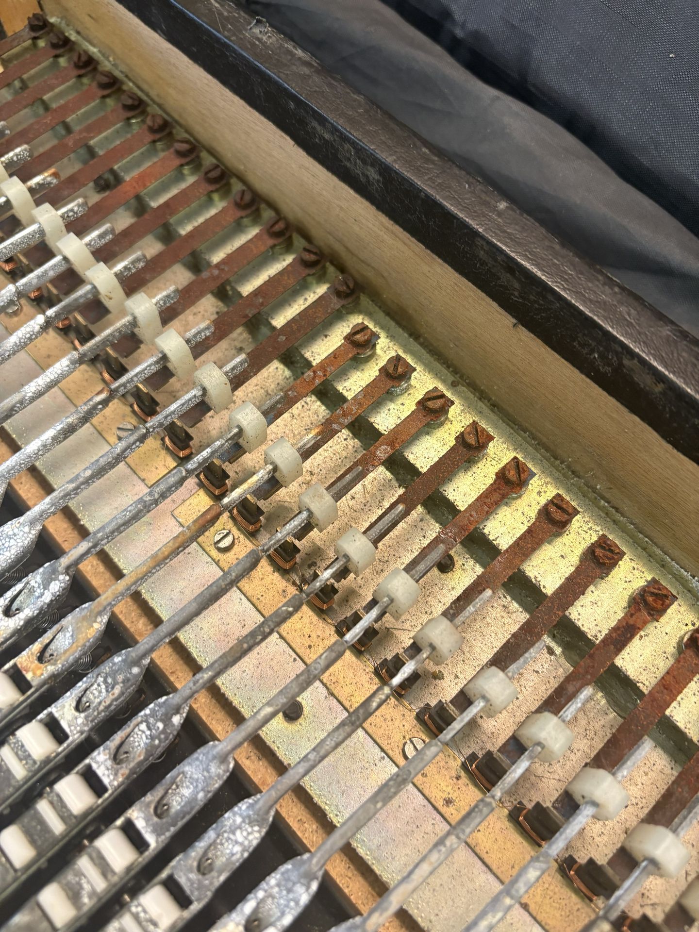 Pianet T rusted reed