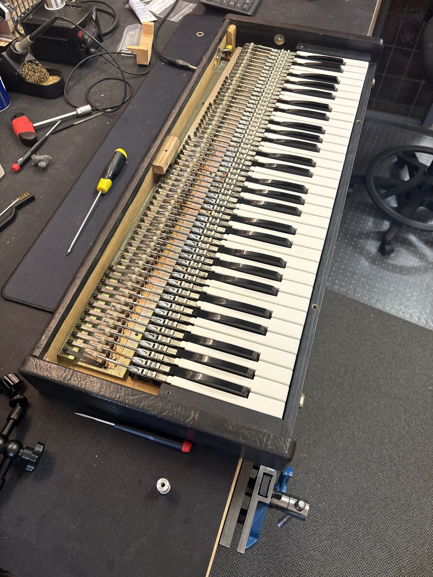 Pianet T cleaned reed